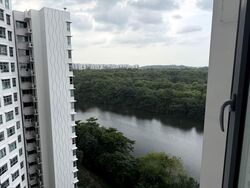 Blk 476B Hougang Capeview (Hougang), HDB 4 Rooms #584500021